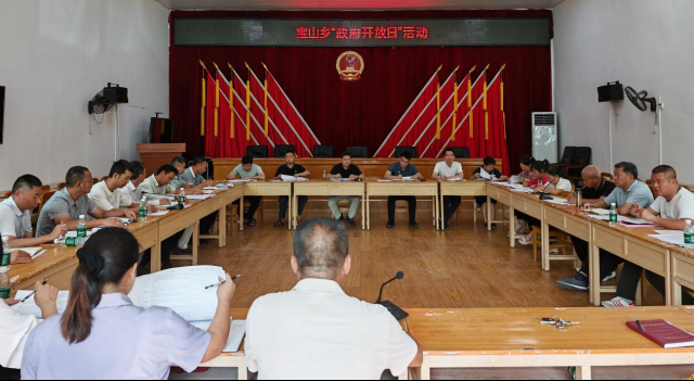 人民政府在社会经济咨询服务中的角色与功能